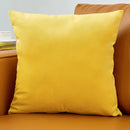 Ljojo Luxury Velvet Beige Cushion Cover for Elegant Home Decor
