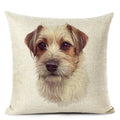 Colourful Bull Terrier & Dachshund 3D Cushion Cover for Home Sofa by Ljojo