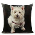 Colourful Bull Terrier & Dachshund 3D Cushion Cover for Home Sofa by Ljojo