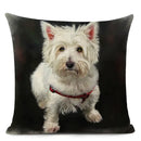 Colourful Bull Terrier & Dachshund 3D Cushion Cover for Home Sofa by Ljojo