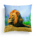 Ljojo Lion Dolphin Horse Cushion Cover 45x45cm - Home Sofa Car Pillow Cover