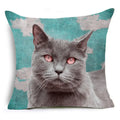 Cartoon Cat Pet Pillow Cover for Home Sofa Decor by Ljojo