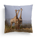Ljojo Lion Dolphin Horse Cushion Cover 45x45cm - Home Sofa Car Pillow Cover