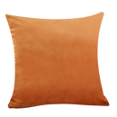 Ljojo Luxury Velvet Beige Cushion Cover for Elegant Home Decor