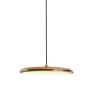 Ljojo Macaron Acrylic Pendant Lights for Restaurant Cafe Hotel Bedroom