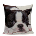 Ljojo Luxury Animal Pillow Case - 45x45cm Square Custom Cushion