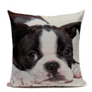 Ljojo Luxury Animal Pillow Case - 45x45cm Square Custom Cushion