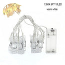 LED Photo Clip Fairy Lights for Holiday Decor by Ljojo