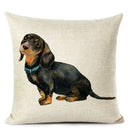 Colourful Bull Terrier & Dachshund 3D Cushion Cover for Home Sofa by Ljojo