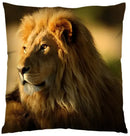 Ljojo 3D Animal Print Cushion Covers (18" x 18") - Cute Collection