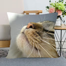 Cute Cat Print Pillowcase by Ljojo - Perfect for Home, Car, and Sofa