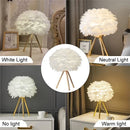 LED Flower Design Glass Table Lamp for Bedroom - Romantic Pastoral Reading Light by Ljojo