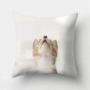 Cute Cat Print Cushion Cover for Sofa Decor by Ljojo