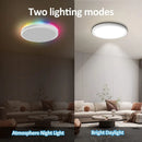 Modern LED RGB Ceiling Light Dimmable Remote Control Bedroom Lamp Ljojo