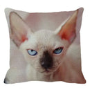 Cute Ljojo Sphinx Cat Cushion Cover 45X45cm - Home Sofa Decoration Pillowcase