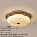 Minimalist Ceiling Lamp Modern Luminaires for Living Room Bedroom Decor by Ljojo