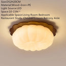 Minimalist Ceiling Lamp Modern Luminaires for Living Room Bedroom Decor by Ljojo