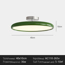 Nordic Modern LED Ceiling Light for Bedroom Study Room Living Room Interior Decoration by Ljojo