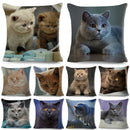 Cute Cat Print Fold Ear Pet Pillowcase for Cozy Home Decor by Ljojo