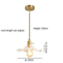 Green LED Ceiling Light Chandelier for Bedroom Kitchen Living Room Study Hallway by Ljojo