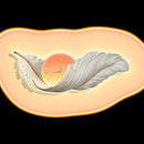 LED Wall Lamp Feather Creative Clock High-end Feeling Bedroom Bedside Ljojo