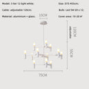 Nordic LED Pendant Light Fixture for Living Room | Ljojo Elegant Chandelier for Home Decor
