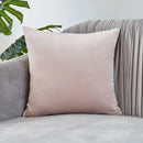 Ljojo Luxury Velvet Cushion Cover for Sofa Living Room Decor 45x45 30x50 50x50
