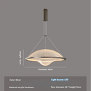 Italian Modern Minimalist Restaurant Pendant Light - High-end Art Lamp - Ljojo