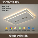 Ljojo Modern Originality Rectangular Ceiling Light: Master Bedroom & Dining Room Fixture