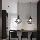 Ljojo Metal Wire Cage Pendant Light Cover Industrial Style for Ceiling Hanging Lamp