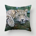 Cheetah Leopard Print Decorative Cushion Cover By Ljojo