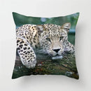 Cheetah Leopard Print Decorative Cushion Cover By Ljojo