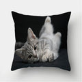 Cute Cat Print Cushion Cover for Sofa Decor by Ljojo