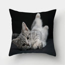 Cute Cat Print Cushion Cover for Sofa Decor by Ljojo