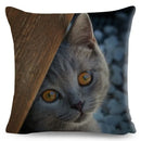 Cute Cat Print Fold Ear Pet Pillowcase for Cozy Home Decor by Ljojo