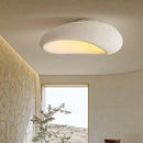 Ljojo 52cm Nordic Style Ceiling Light for Bedroom and Living Room