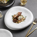 Ljojo Matte Ceramic Irregular Plate Set for Molecular Cuisine and Sushi Dining