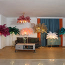 Nordic Feather Floor Lamp Personalized Creative Ostrich - Ljojo