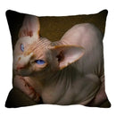 Cute Ljojo Sphinx Cat Cushion Cover 45X45cm - Home Sofa Decoration Pillowcase