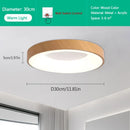 30CM LED Ceiling Light Warm Light Stepless Dimming for Living Room Bedroom Kitchen by Ljojo