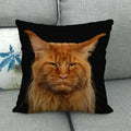 Fat Orange Cat Print Cushion Cover 45x45cm by Ljojo: Animal Pattern Home Decor Pillowcase