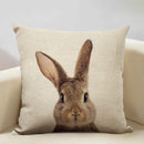 Animal Print Cushion 45x45cm for Sofa, Car Seat & Living Room Decor by Ljojo