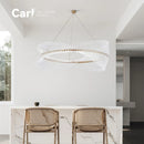 Nordic Modern Luxury Circle Chandelier Lighting Fixture for Bedroom Dining Living Room by Ljojo