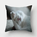 Cute Cat Print Cushion Cover for Sofa Decor by Ljojo