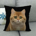 Fat Orange Cat Print Cushion Cover 45x45cm by Ljojo: Animal Pattern Home Decor Pillowcase