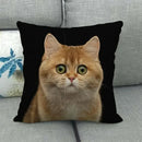 Fat Orange Cat Print Cushion Cover 45x45cm by Ljojo: Animal Pattern Home Decor Pillowcase