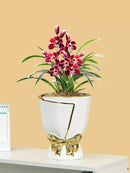 Ljojo™ Nordic Ceramic Tulip Vase for Home Decor and Bonsai Plants
