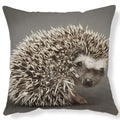 Ljojo Lovely Little Hedgehog Design Cushion Cover for 45*45cm Sofa Pillow