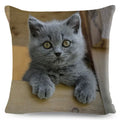 Cute Cat Print Fold Ear Pet Pillowcase for Cozy Home Decor by Ljojo