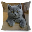 Cute Cat Print Fold Ear Pet Pillowcase for Cozy Home Decor by Ljojo